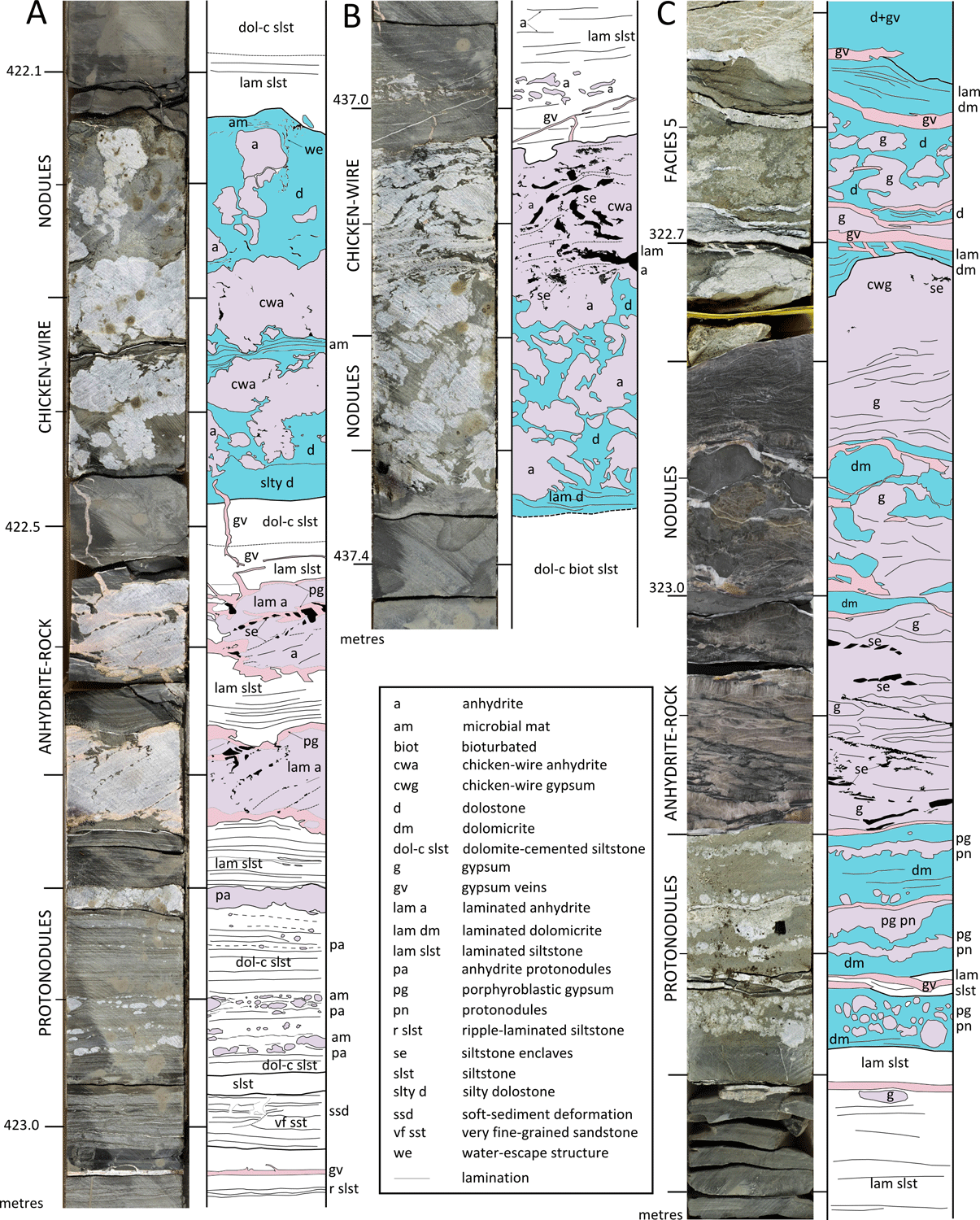 Examples of evaporite deposits in the Norham core.